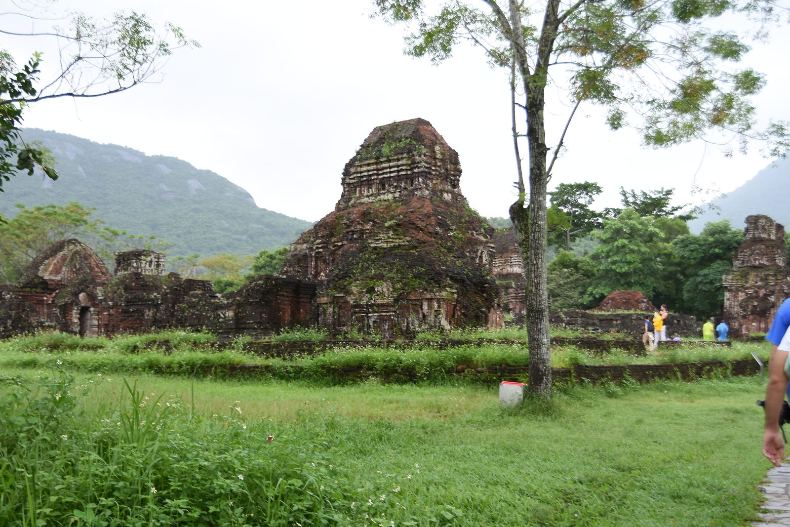 A ruined brick Champa tower, covered in moss and vines, standing in the Mỹ Sơn valley, mountains around it.