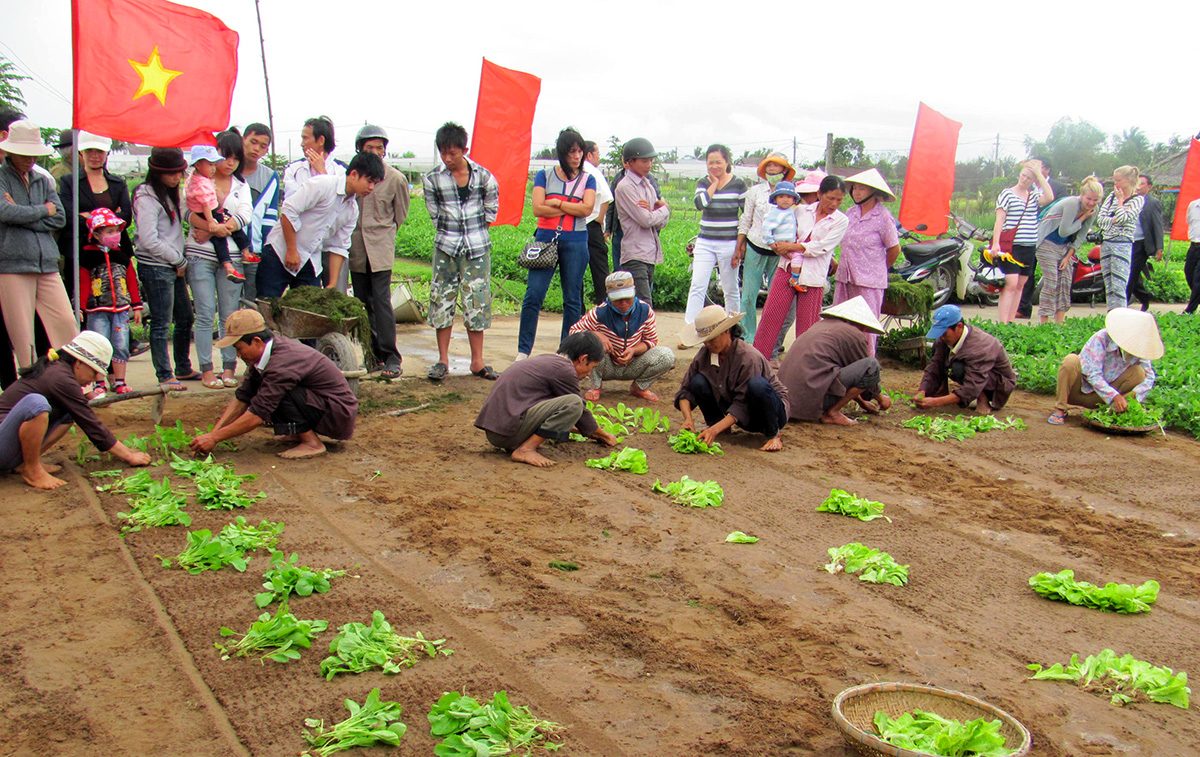 A group squats on freshly dug ground planting young vegetables one by one. A crowd stands behind, some carrying small children, two red flags planted in the field. Bundles of seedlings lie on the ground and a bamboo basket sits at the bottom corner.